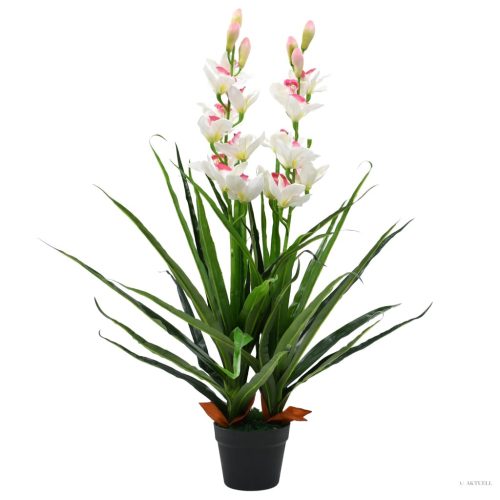 Zöld, cserepes műcsónakorchidea 100 cm