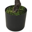 Zöld cserepes mű fenyőbonsai 60 cm