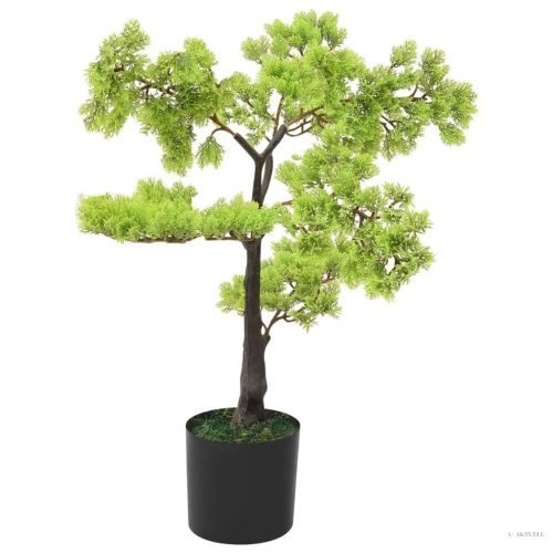 Zöld cserepes mű ciprusbonsai 60 cm