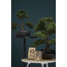 Emerald zöld cédrus műbonsai 32 cm 420001