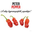 Peter pepper chili paprika növény nevelő szett, Peter pepper chili paprika növény nevelő szett
