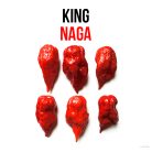 King Naga chili paprika növény nevelő szett, King Naga chili paprika növény nevelő szett