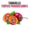 Tamarillo - Trópusi paradicsomfa növény nevelő szett, Tamarillo - Trópusi paradicsomfa növény nevelő szett