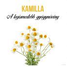 Kamilla növény nevelő szett, Kamilla növény nevelő szett
