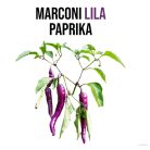 Lila marconi paprika növény nevelő szett, Lila marconi paprika növény nevelő szett