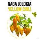 Naga Jolokia yellow chili paprika növény nevelő szett, Naga Jolokia yellow chili paprika növény nevelő szett