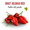 Szellem chili - Bhut Jolokia Red paprika növény nevelő szett, Szellem chili - Bhut Jolokia Red paprika növény nevelő szett